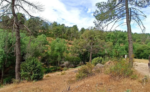 Detalle del terreno en venta en la Sierra de Guadarrama